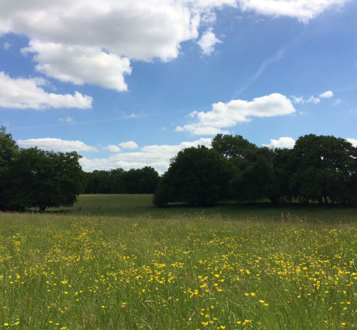 Our Farm